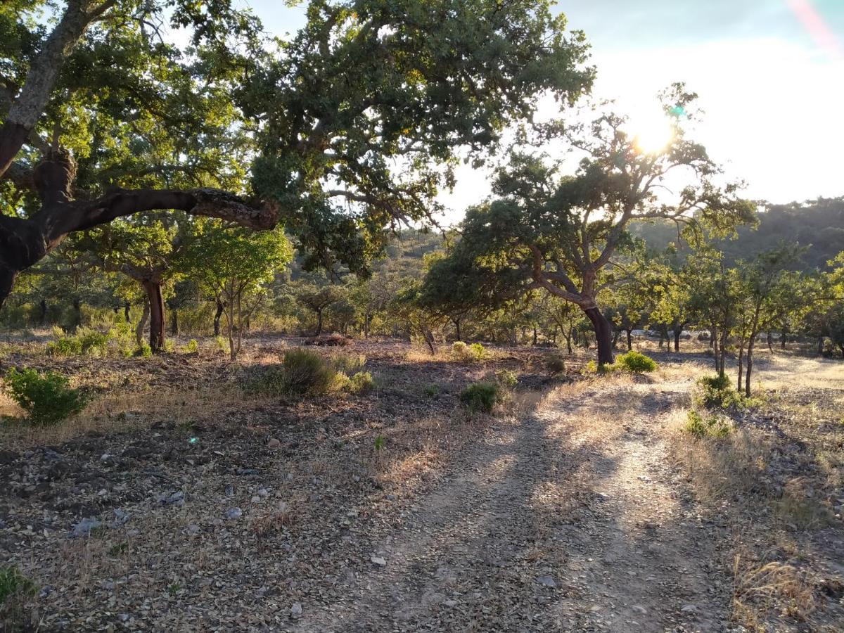 La Romera Villanueva del Duque Exterior foto